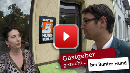 Bunter Hund Galerie